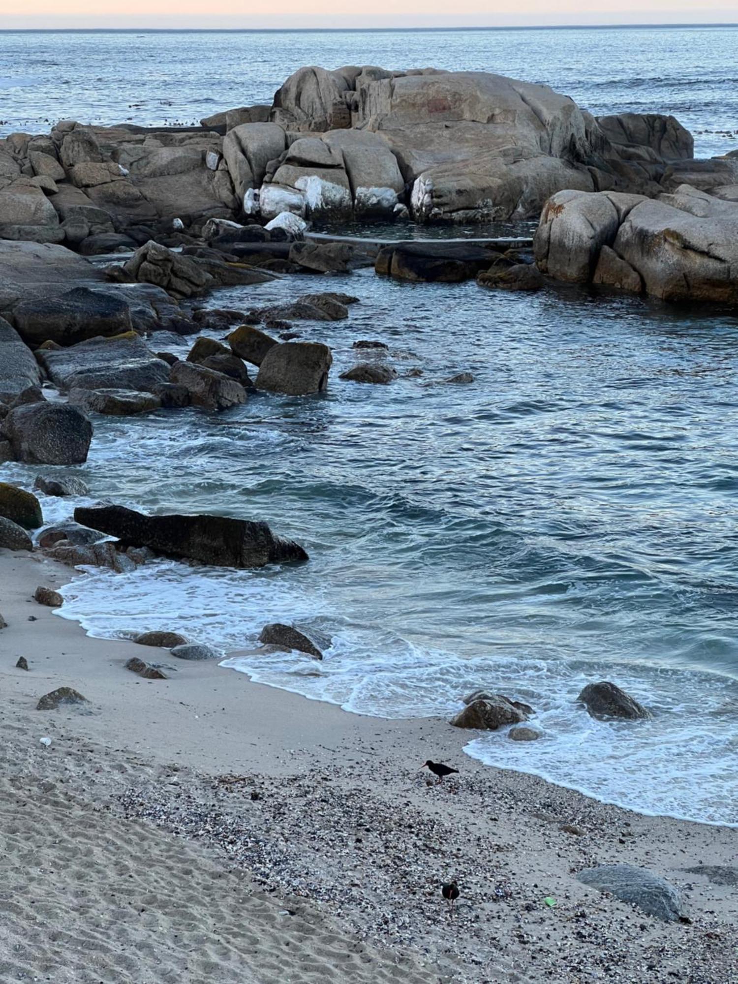 Sea Point Kingsgate No 10 Daire Cape Town Dış mekan fotoğraf