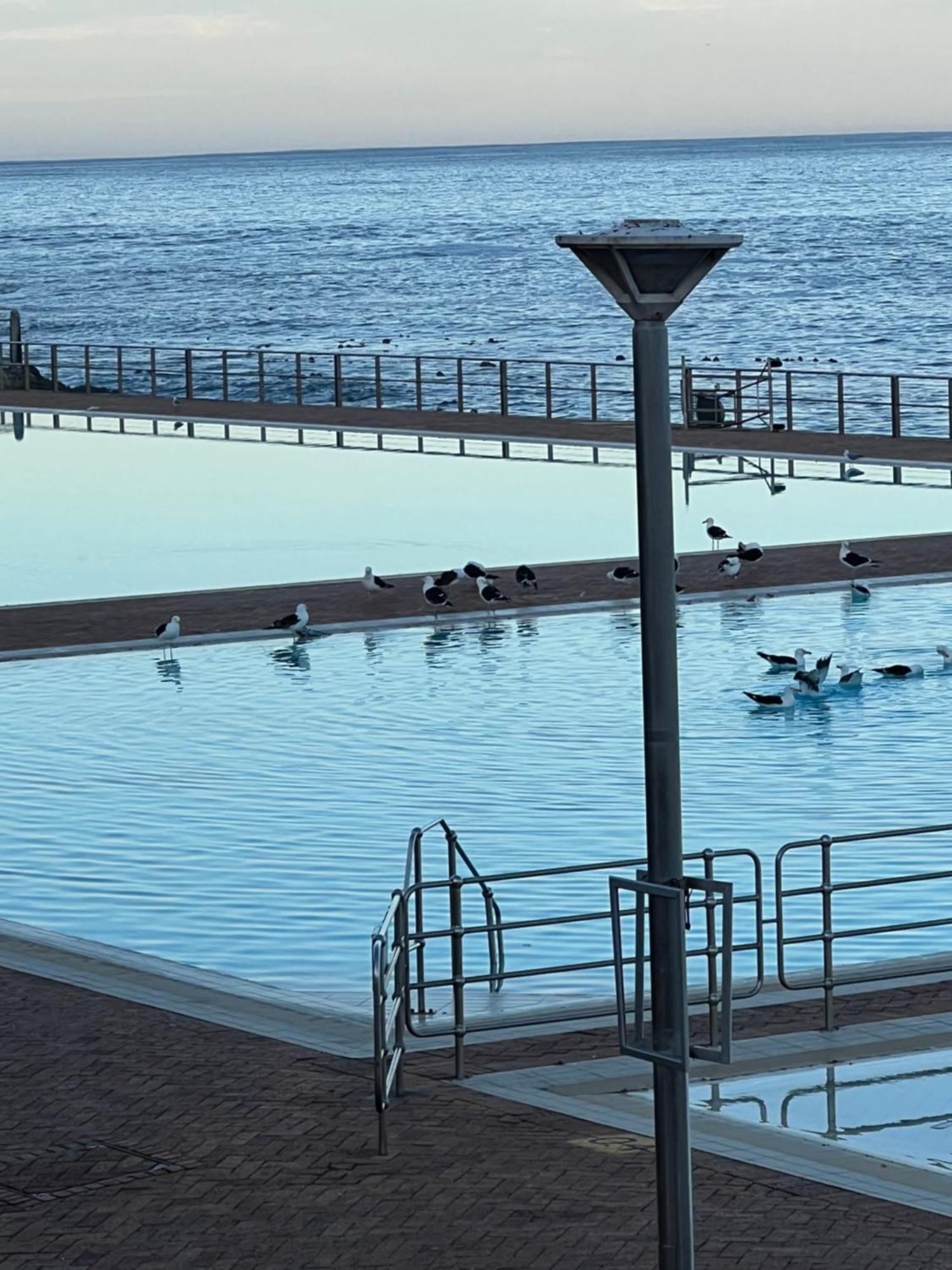 Sea Point Kingsgate No 10 Daire Cape Town Dış mekan fotoğraf